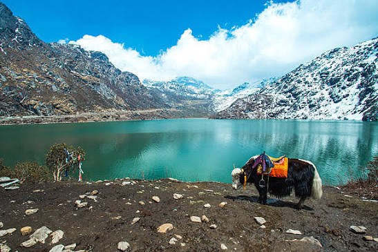 Gangtok 2N + Pelling 2N + Darjeeling  2N - Stays