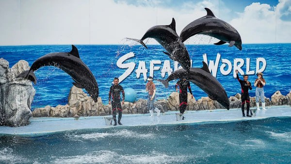 Pattaya - THAILAND - 6N/7D - Transfers