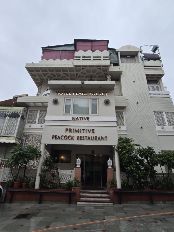 Hotel Pearl Palace - Basic